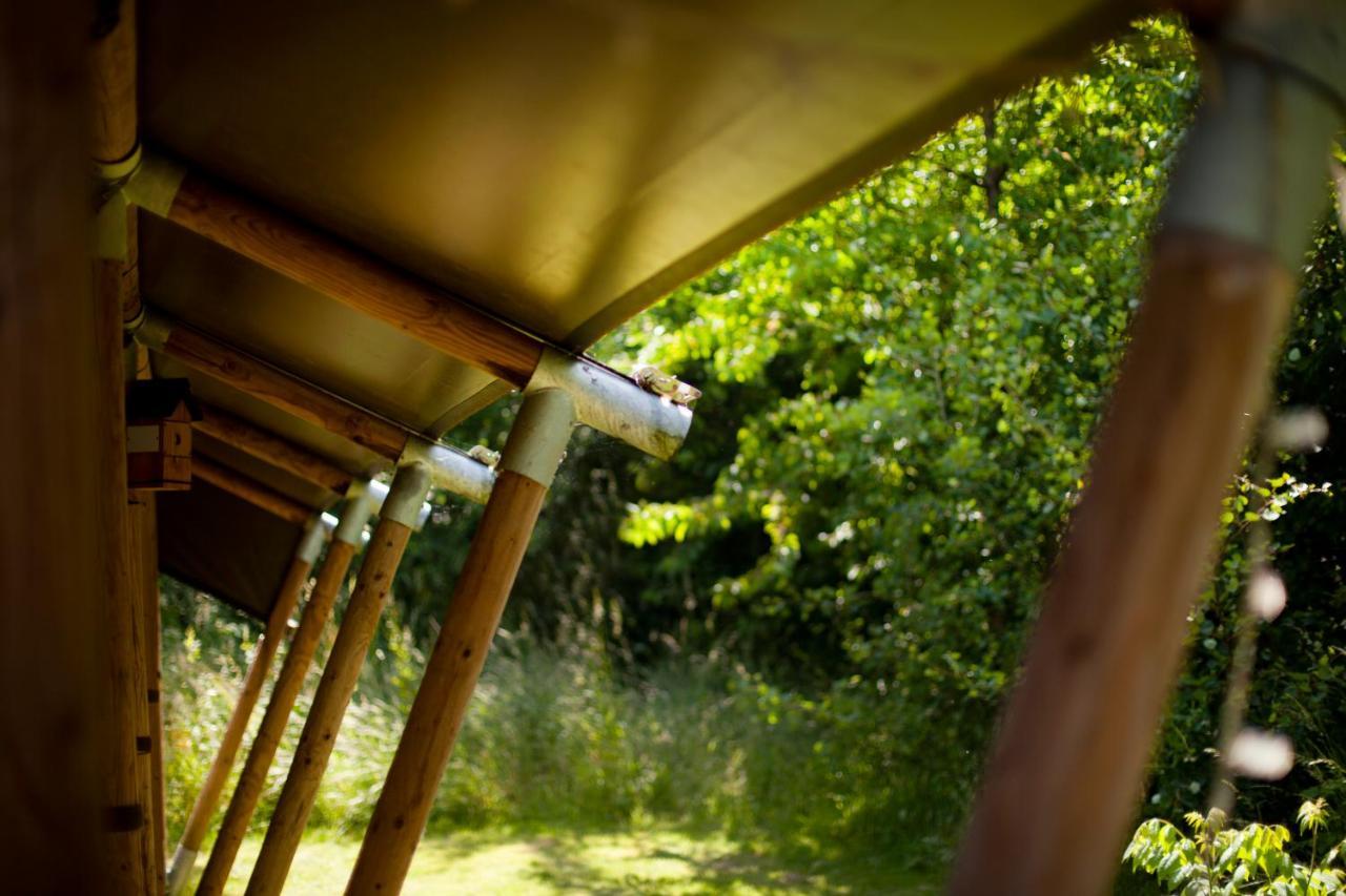 Riverwood Farm Glamping Safari Tent * Talaton
