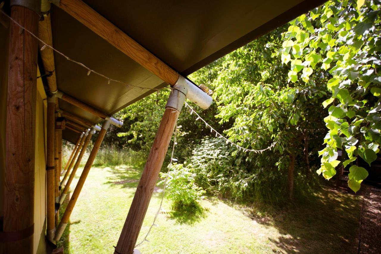 Riverwood Farm Glamping Safari Tent Luxury tent *
