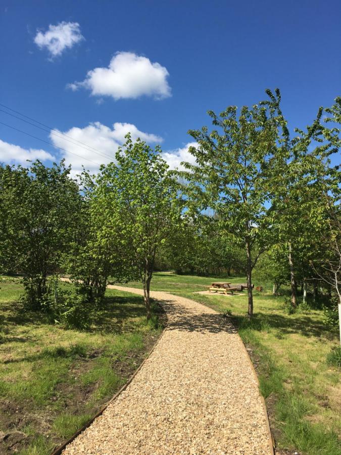 Riverwood Farm Glamping Safari Tent Talaton