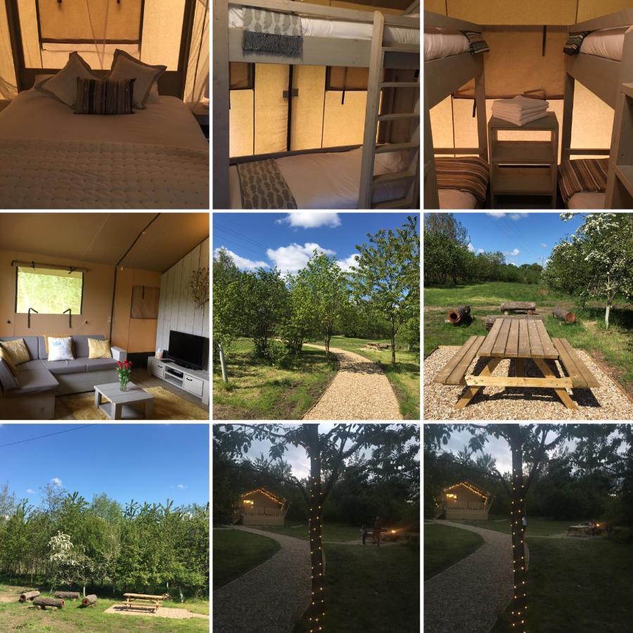 Luxury tent Riverwood Farm Glamping Safari Tent Talaton